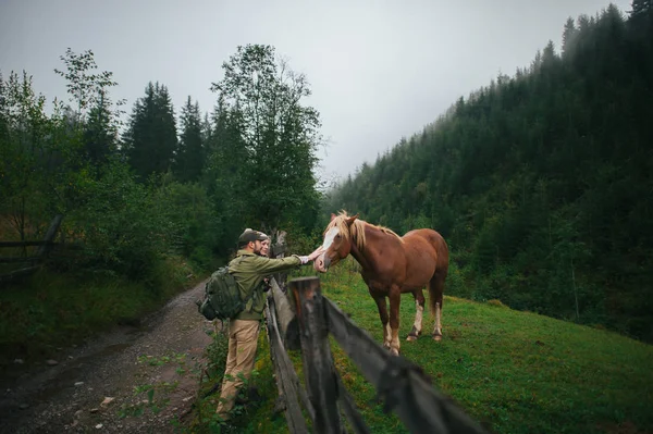 Casal acariciando cavalo — Fotografia de Stock