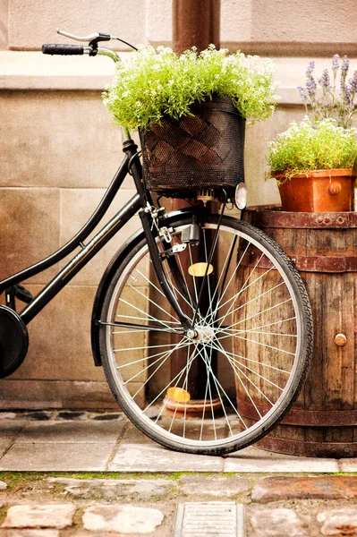 Bicicleta decorativa con flores — Foto de Stock