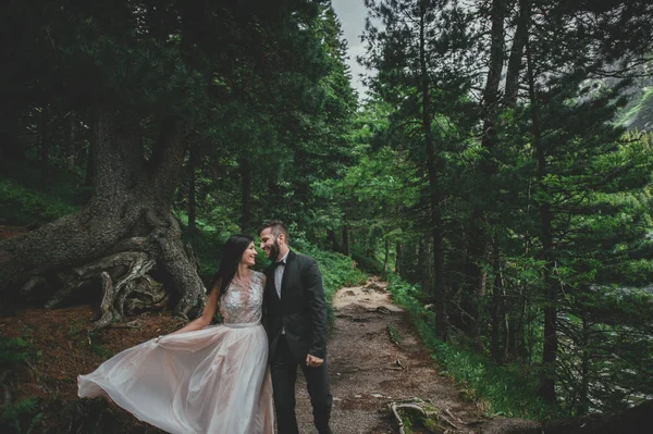 Recém-casados caminhando na pitoresca floresta verde — Fotografia de Stock