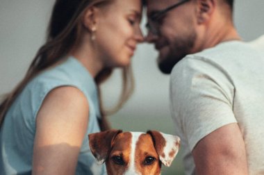 Köpek kameraya bakıyor.