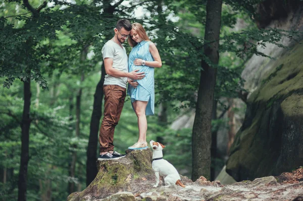 Pareja de pie en la montaña con perro — Foto de Stock