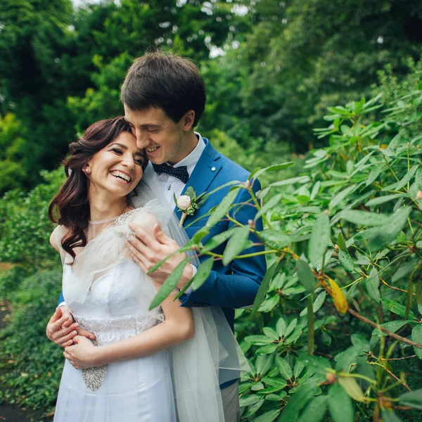 Pretty Wedding Couple Hugging Posing Green Spring Garden — Stock Photo, Image