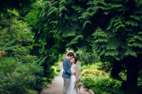 Élégant Marié Caucasien Belle Mariée Étreinte Dans Parc — Photo