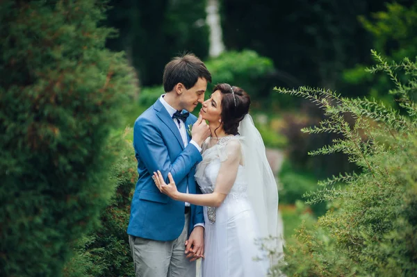 Boldog Mosolygó Elegáns Vőlegény Pályázati Kiss Menyasszony Zöld Parkban — Stock Fotó