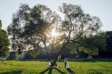 uzak genç görünümünü beyaz romantik piknik ağacın altında sarılma üzerinde çift nişanlı.