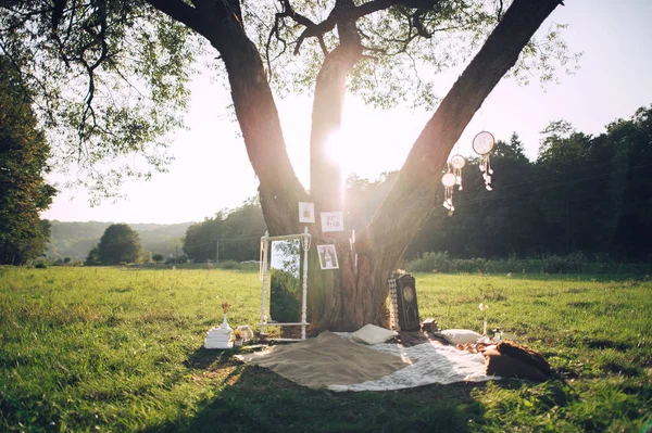 scenic view of picnic under tree in park