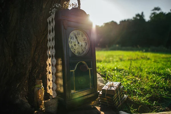 Relógio Vintage Perto Árvore Parque Verde — Fotografia de Stock