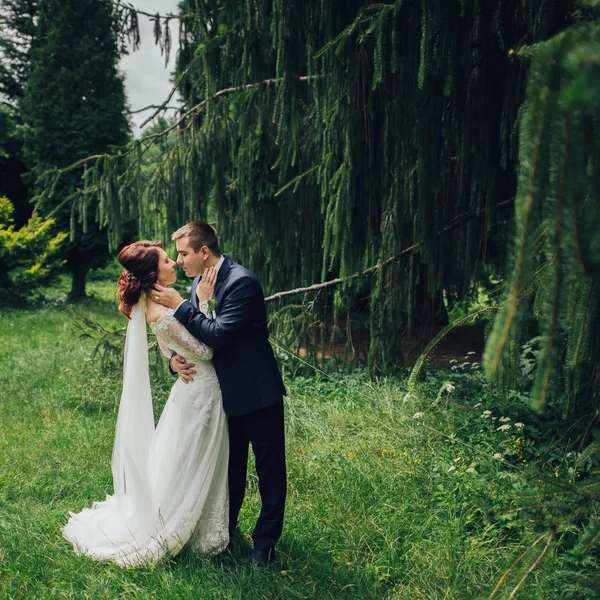 Atractivo Caucásico Boda Pareja Abrazos Parque — Foto de Stock