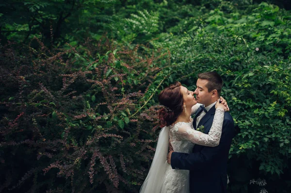 Jeune Beau Couple Mariage Caucasien Étreignant Dans Parc — Photo