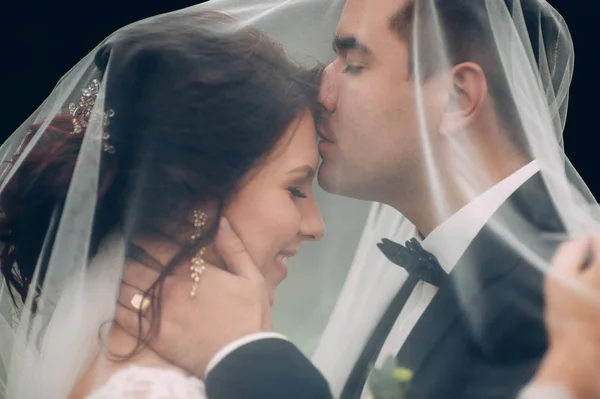 groom kissing bride in forehead under bridal veil
