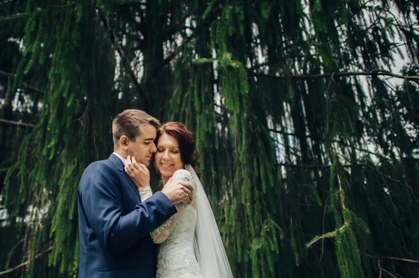 Attraente Caucasico Matrimonio Coppia Abbracciare Parco — Foto Stock