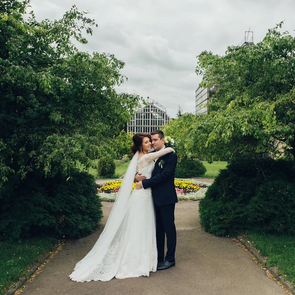 Atractivo Caucásico Boda Pareja Abrazos Parque — Foto de Stock