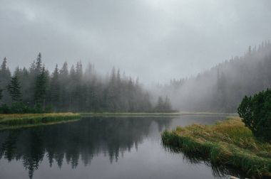 Dağ Gölü ve çevresinde ormanda sisli gün 