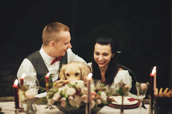 Braut Und Bräutigam Umarmen Labrador Hund Bei Hochzeitsfeier — Stockfoto