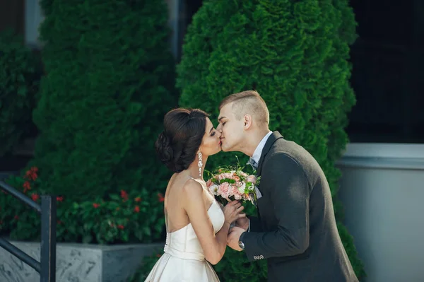 年轻新婚夫妇亲吻绿树 — 图库照片