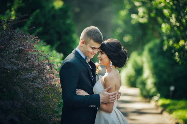 Menyasszony Vőlegény Átölelve Parkban Fák Között — Stock Fotó