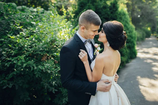 Couple Nouvellement Marié Étreignant Entre Les Arbres Dans Parc — Photo