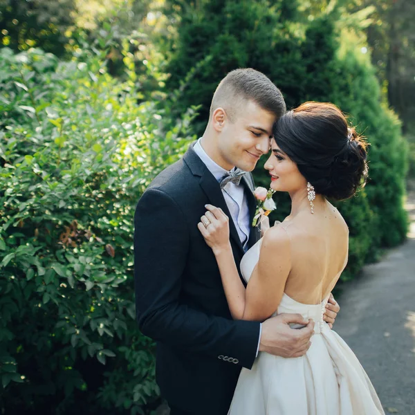 Yeni nikahlı çift parkta ağaçların arasında sarılma