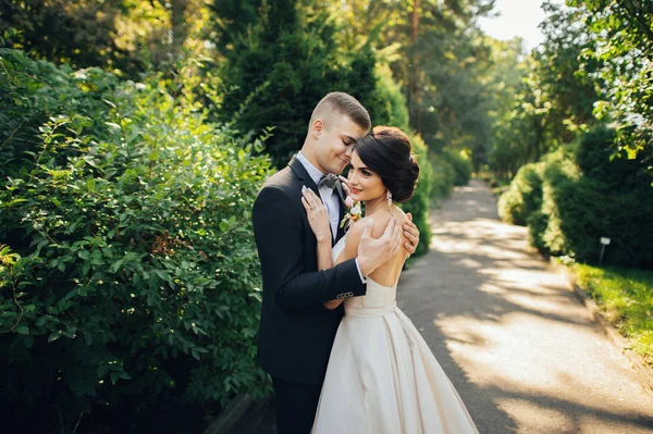 Coppia Appena Sposata Che Abbraccia Tra Gli Alberi Nel Parco — Foto Stock