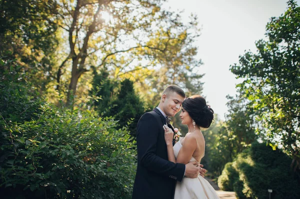 Recém Casados Casal Abraçando Entre Árvores Parque — Fotografia de Stock