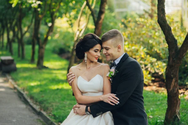 Yeni nikahlı çift parkta ağaçların arasında sarılma
