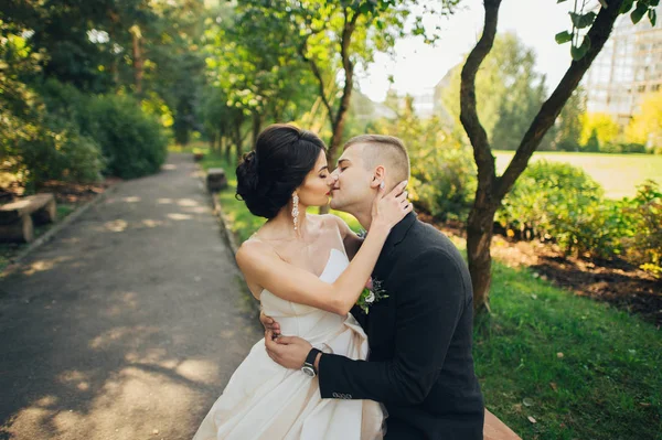 新婚夫妇在公园的树间接吻 — 图库照片