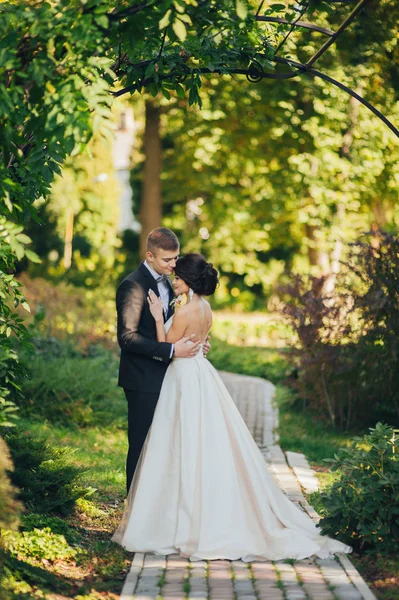 Recém Casados Casal Abraçando Entre Árvores Parque — Fotografia de Stock