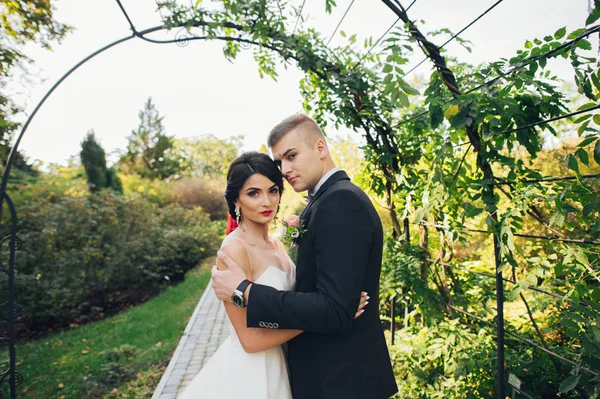 Recém Casados Casal Abraçando Entre Árvores Parque — Fotografia de Stock