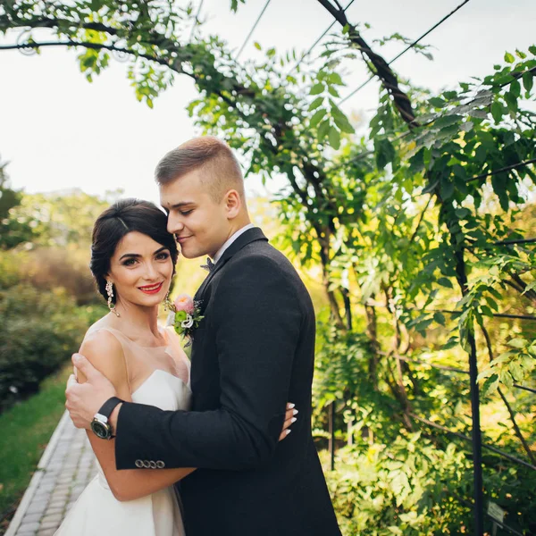 Recém Casados Casal Abraçando Entre Árvores Parque — Fotografia de Stock