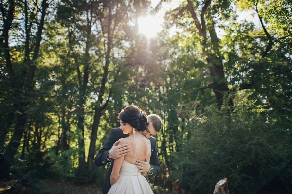 Luva Ternamente Beijando Ombro Noiva — Fotografia de Stock