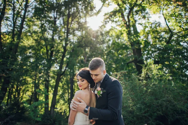 Recém Casados Casal Abraçando Entre Árvores Parque — Fotografia de Stock