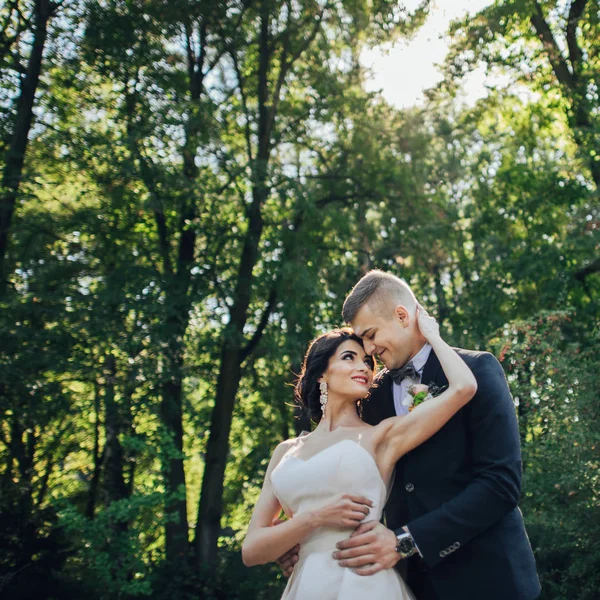 Recém Casados Casal Abraçando Entre Árvores Parque — Fotografia de Stock