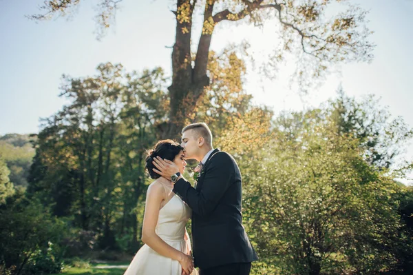 新郎亲吻新娘额头与绿色的树木背景 — 图库照片