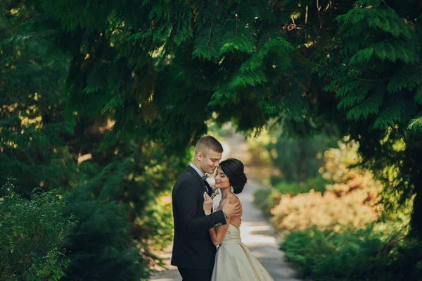 Coppia Appena Sposata Che Abbraccia Sul Vicolo Verde Nel Parco — Foto Stock