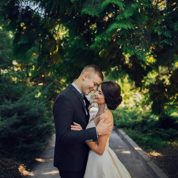 Recém Casados Casal Abraçando Beco Verde Parque — Fotografia de Stock