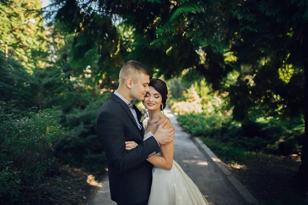 Recém Casados Casal Abraçando Beco Verde Parque — Fotografia de Stock