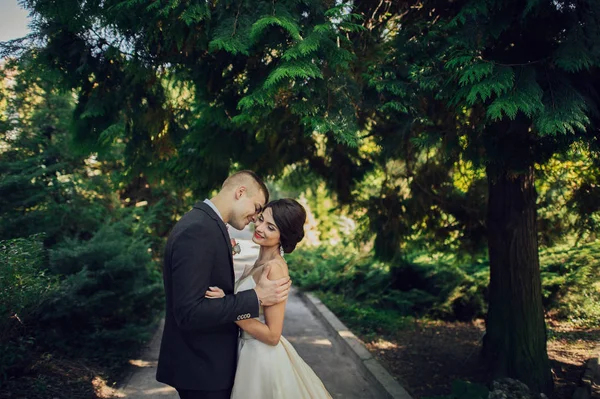 Coppia Appena Sposata Che Abbraccia Sul Vicolo Verde Nel Parco — Foto Stock