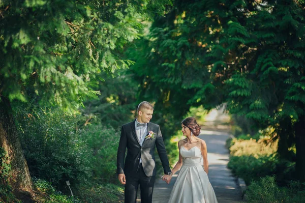 Bruid Met Bruidegom Lopen Groen Park — Stockfoto