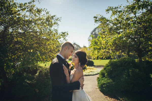 Recém Casados Casal Abraçando Beco Parque — Fotografia de Stock