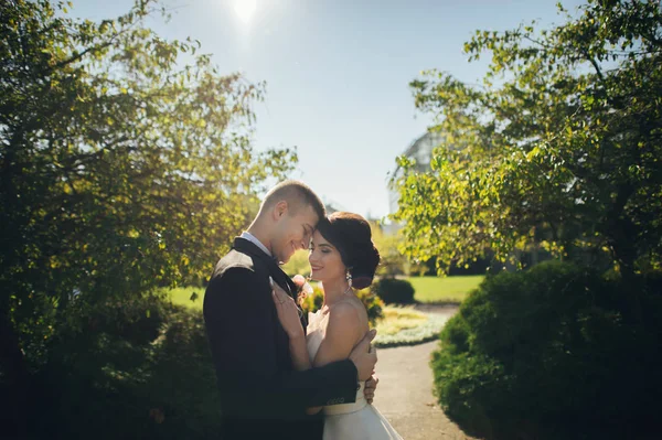 Yeni nikahlı çift sokakta park sarılma