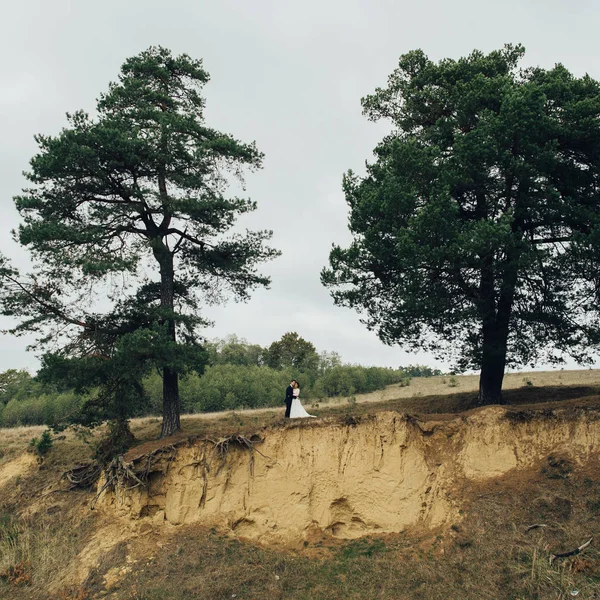 Nevěsta Ženich Pózuje Útesu Poblíž Velkých Smrků — Stock fotografie