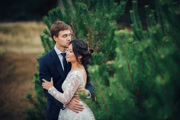 Recém Casados Casal Posando Entre Árvores Abeto — Fotografia de Stock