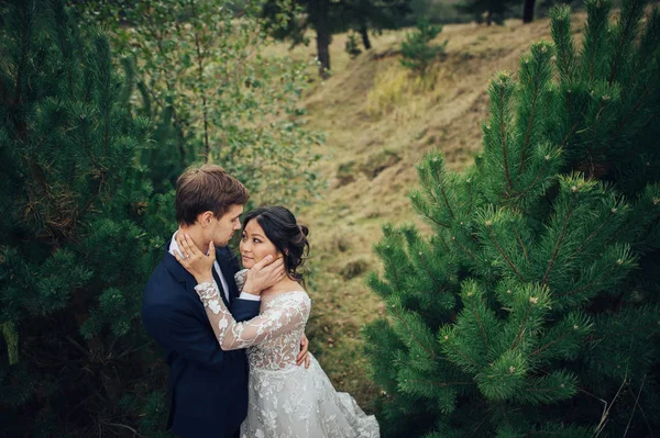 Recém Casados Casal Posando Entre Árvores Abeto — Fotografia de Stock