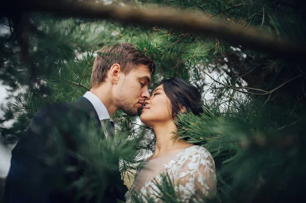 Recém Casados Casal Ternamente Beijando Entre Árvores Abeto — Fotografia de Stock