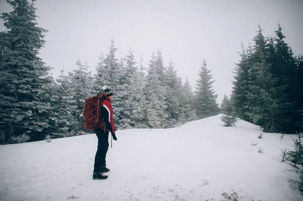 Male tourist walking in mountain winter forest in cloudy day