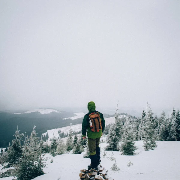 Panoramik manzaralı seyir turist arkadan görünüm