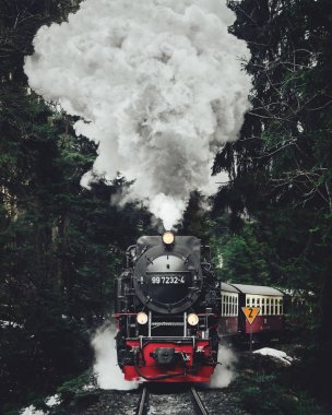 Ünlü Glacier Express buharlı lokomotif İsviçre dağlarında