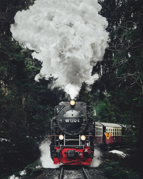 Famosa Locomotiva Vapor Glacier Express Nas Montanhas Suíça — Fotografia de Stock