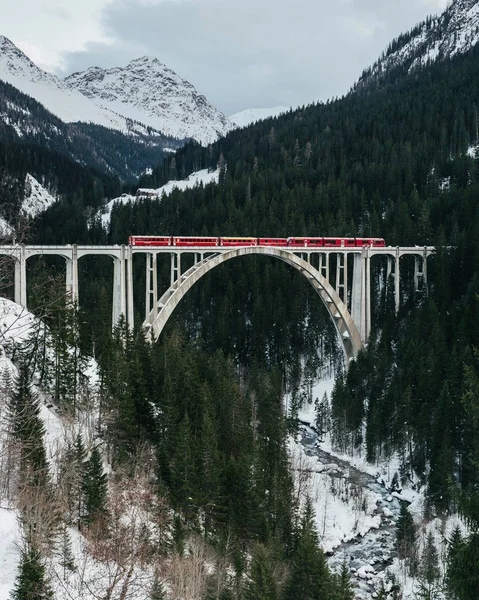 Scenic View Bridge Viaduct Train Switzerland — Stock Photo, Image