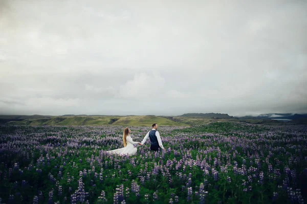 Подружня Пара Ходить Полі Фіолетових Квітів — стокове фото